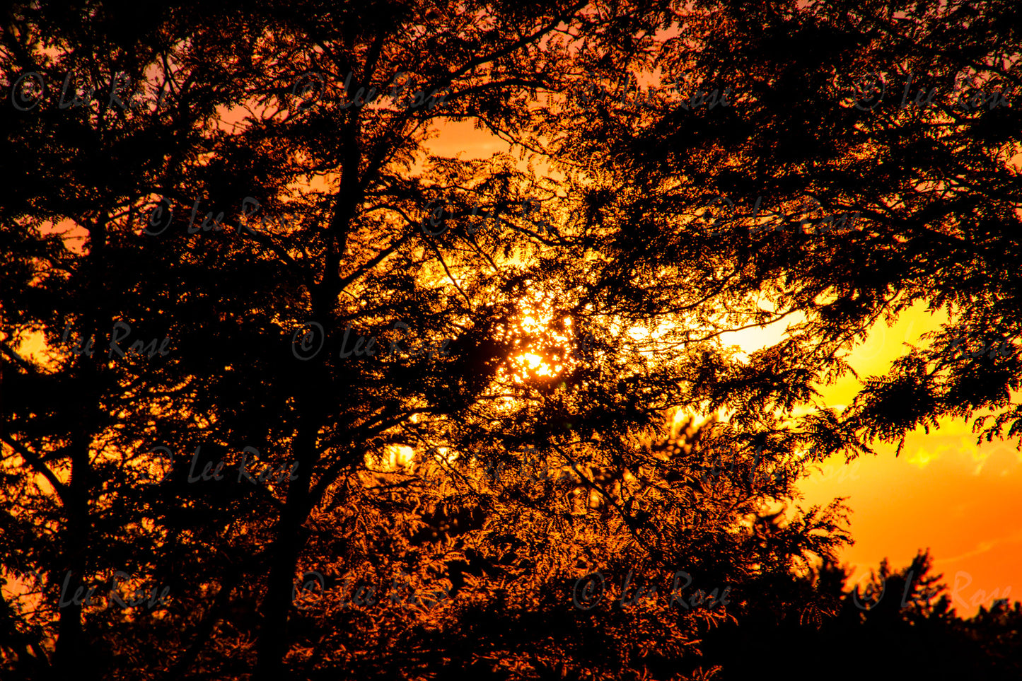 Cleveland Sunset Lee Rose Photography