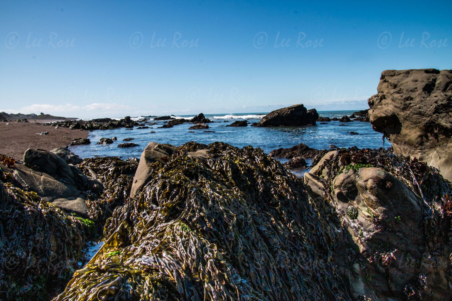 Low Tide - Laguna Beach | Lee Rose Photography
