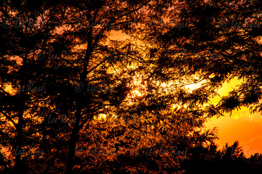 Cleveland Sunset Lee Rose Photography