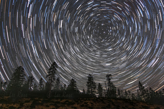 Star Trails - Bryce Canyon