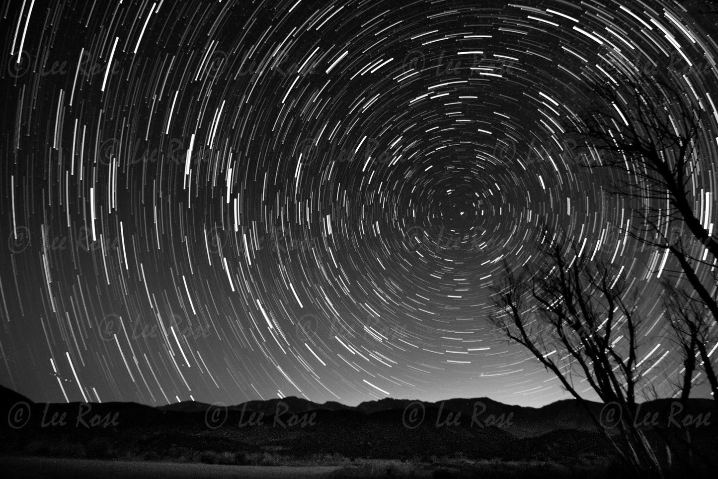 Star Trails - Lower Rose Lake | Lee Rose Photography